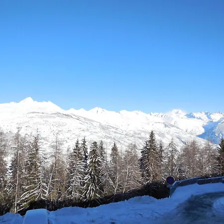 Daire T2 Aux Coches - 4 Pers, Pres Des Pistes - Fr-1-353-20 *